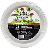 PLASTIC PLATE 7
