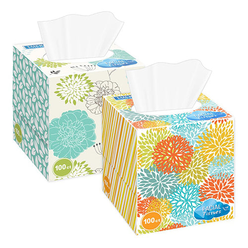 LUCKY #11260 FACIAL TISSUE 80CT CUBE BOX  (ITEM NUMBER: 17602)