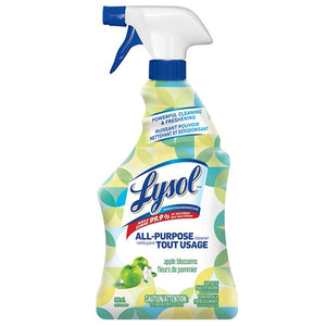 LYSOL CLNR SPRAY 22oz APPLE BLOSSOM (ITEM NUMBER: 29026)