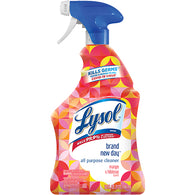 LYSOL CLNR SPRAY 32oz MANGO & HIBISCUS (ITEM NUMBER: 64010)