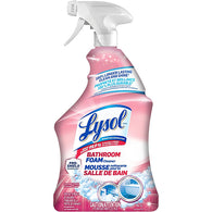 LYSOL CLNR SPRAY 32oz SUMMER FRESH (ITEM NUMBER: 64012)